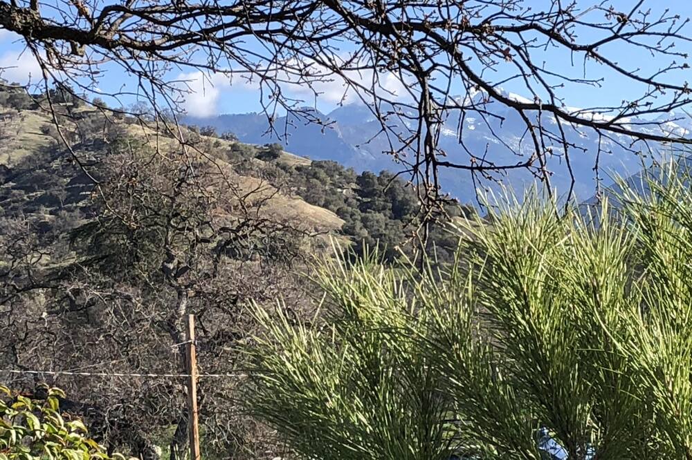 Photo of Outdoor in Three Rivers