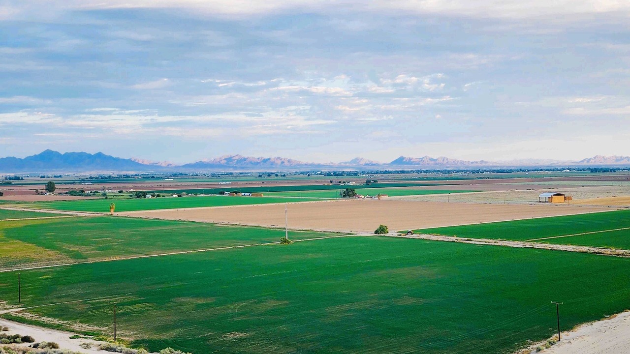 Photo of Others in Blythe