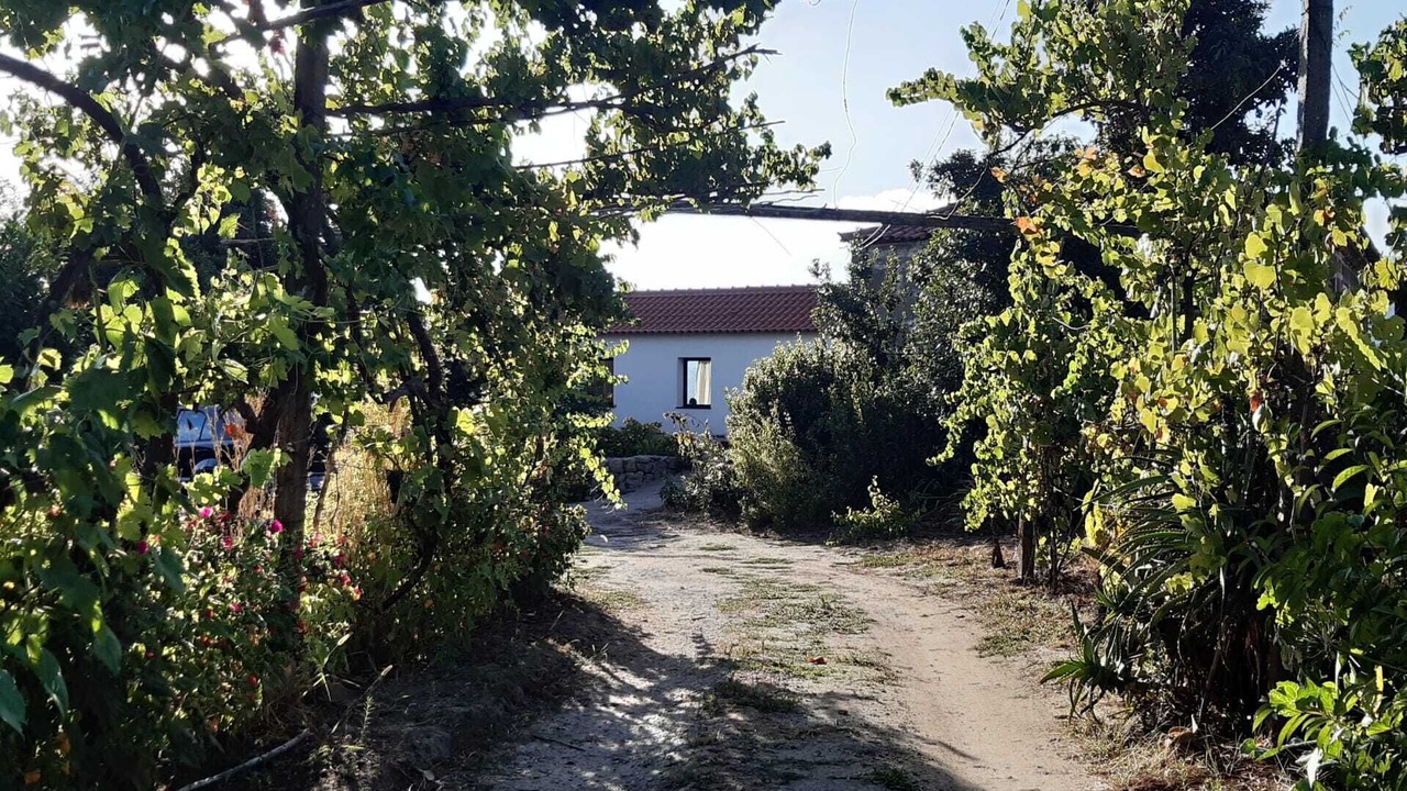 Photo of Outdoor in Resende