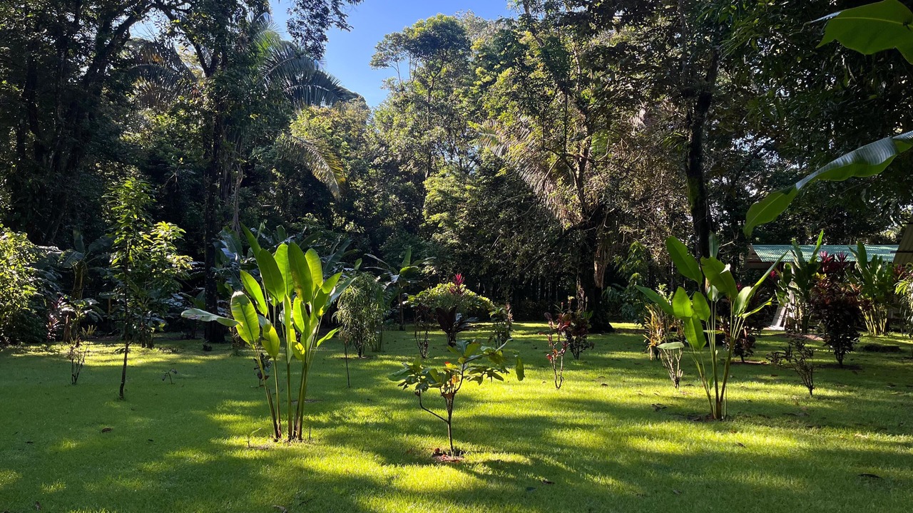 Photo of Outdoor in Drake Bay