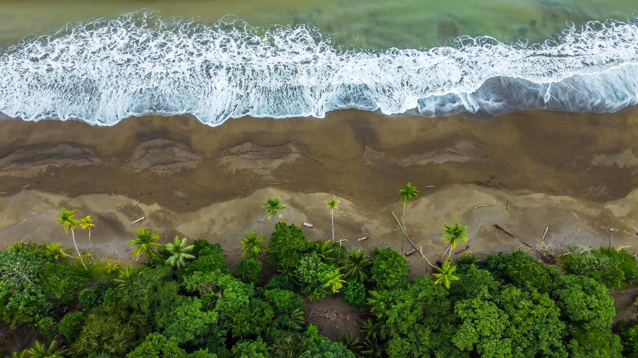 Photo of Others in Drake Bay