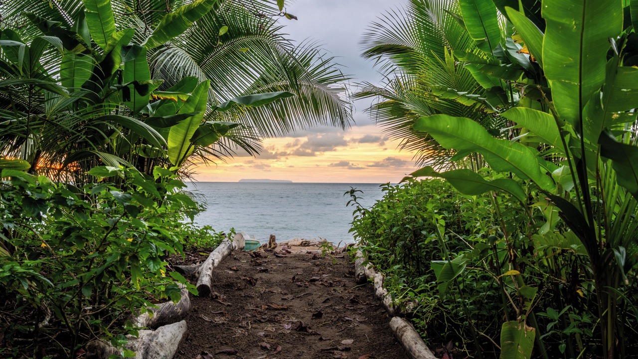 Photo of Others in Drake Bay