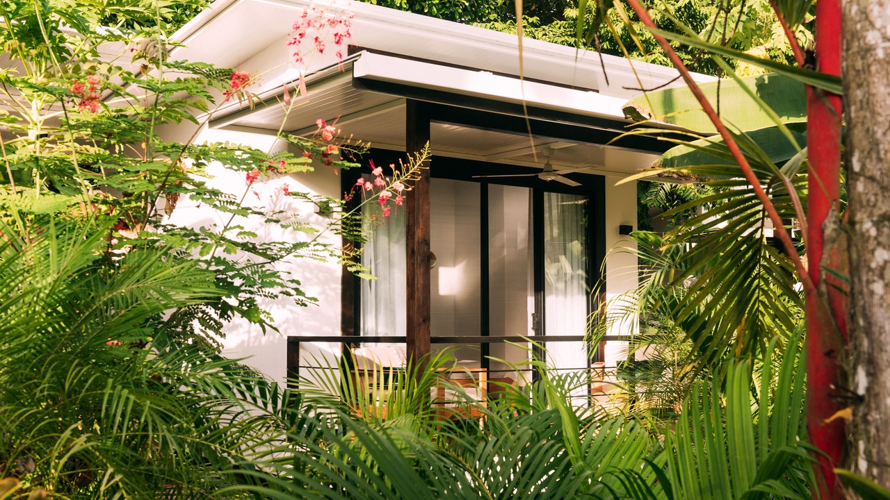 Photo of Outdoor in Puerto Viejo de Talamanca