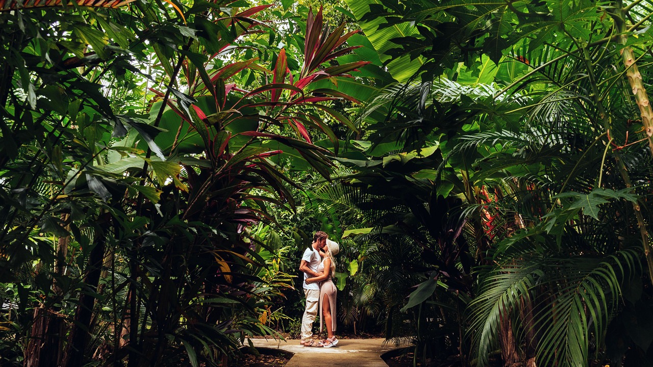 Photo of Outdoor in Puerto Viejo de Talamanca