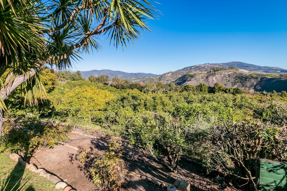 Photo of Others in Carpinteria