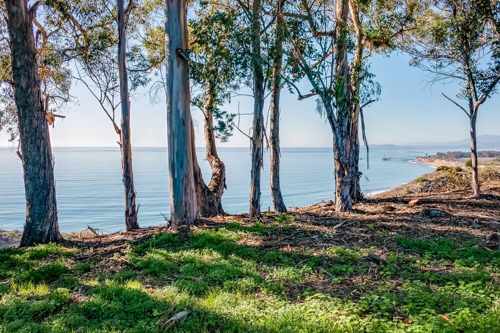 Photo of Others in Carpinteria