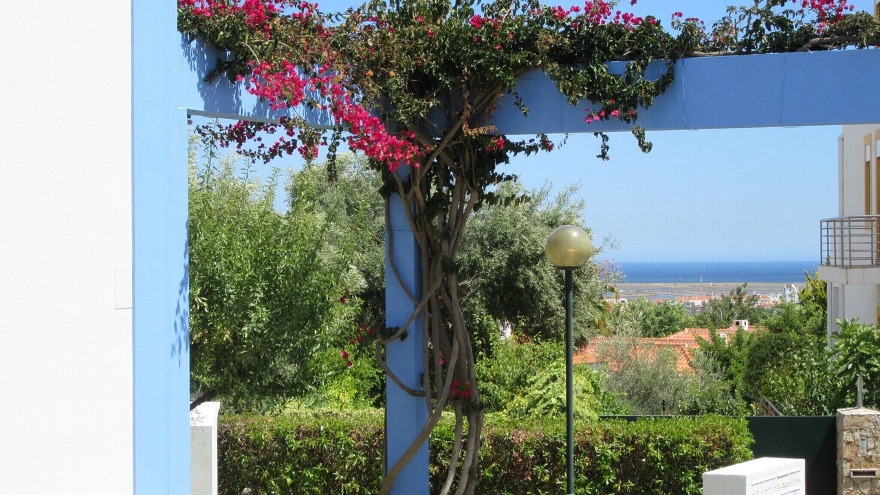 Photo of Outdoor in Tavira