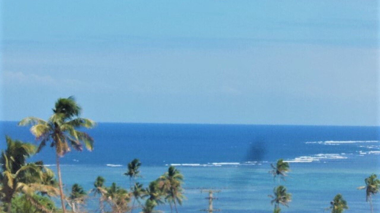 Photo of Others in Savusavu