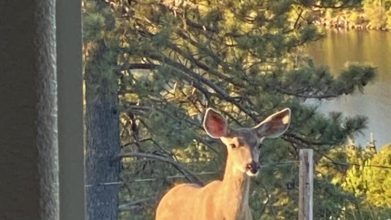 Photo of Outdoor in Julian