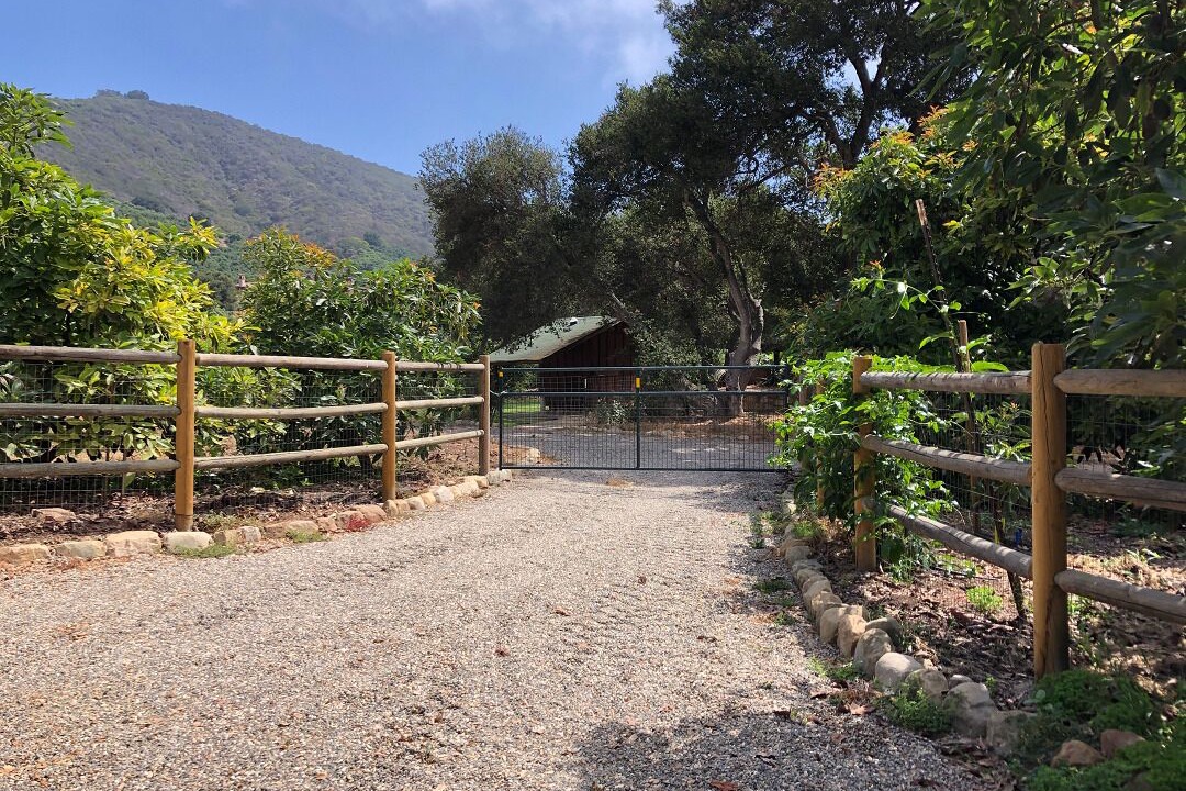 Photo of Outdoor in Toro Canyon