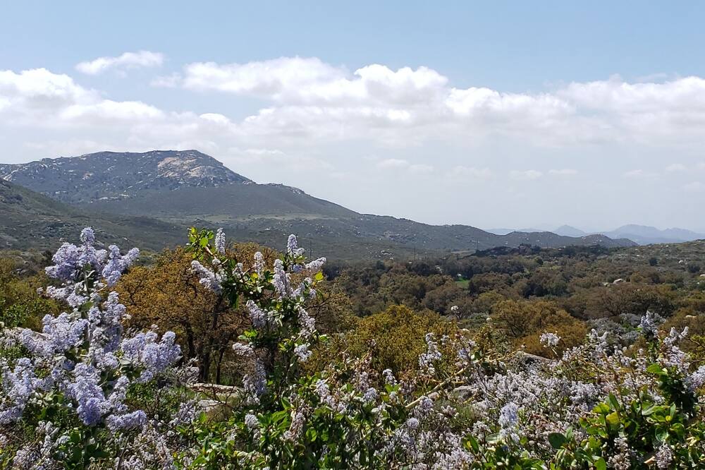 Photo of Outdoor in Ramona