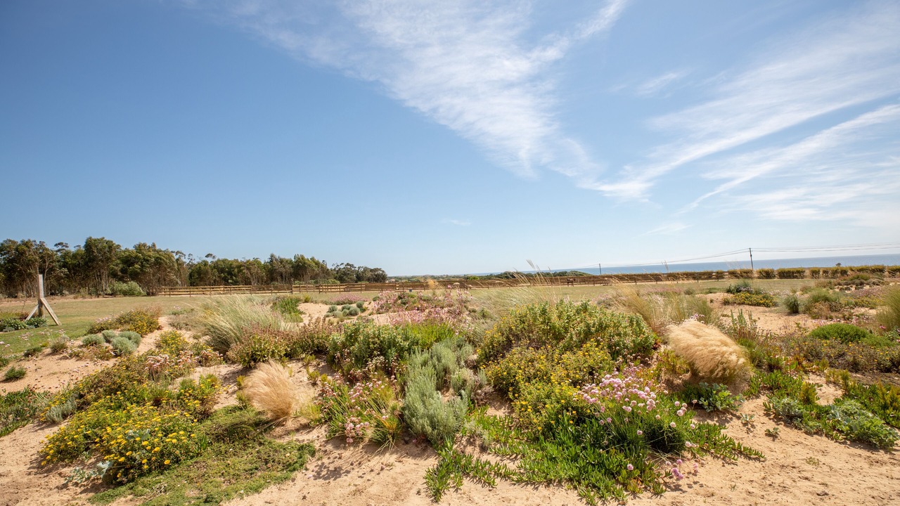 Photo of Outdoor in Sines