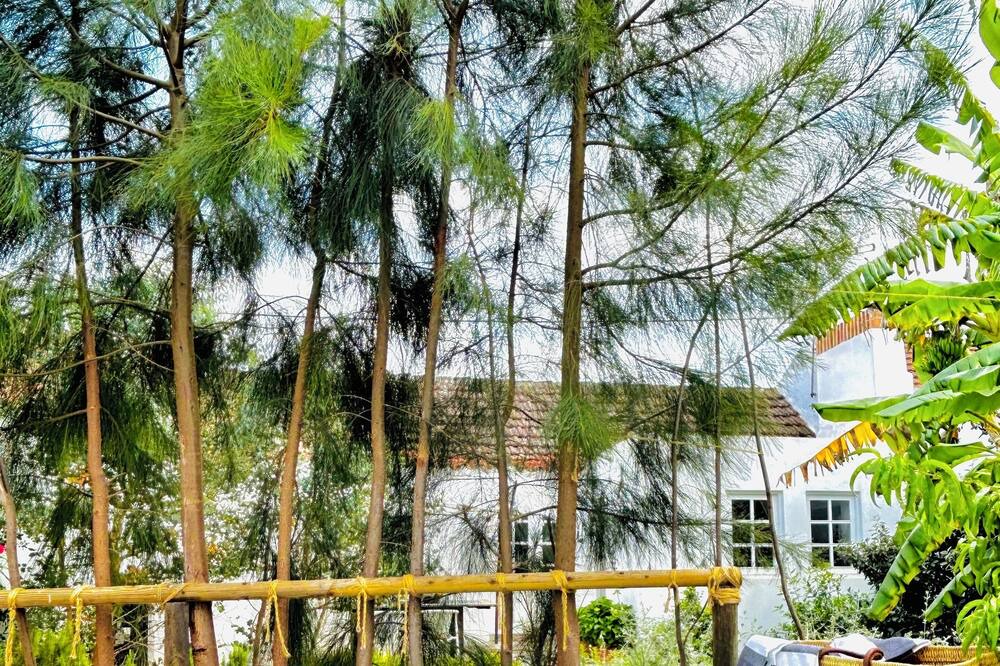 Photo of Outdoor in Vendas Novas