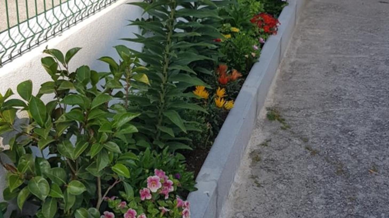 Photo of Outdoor in Guarda