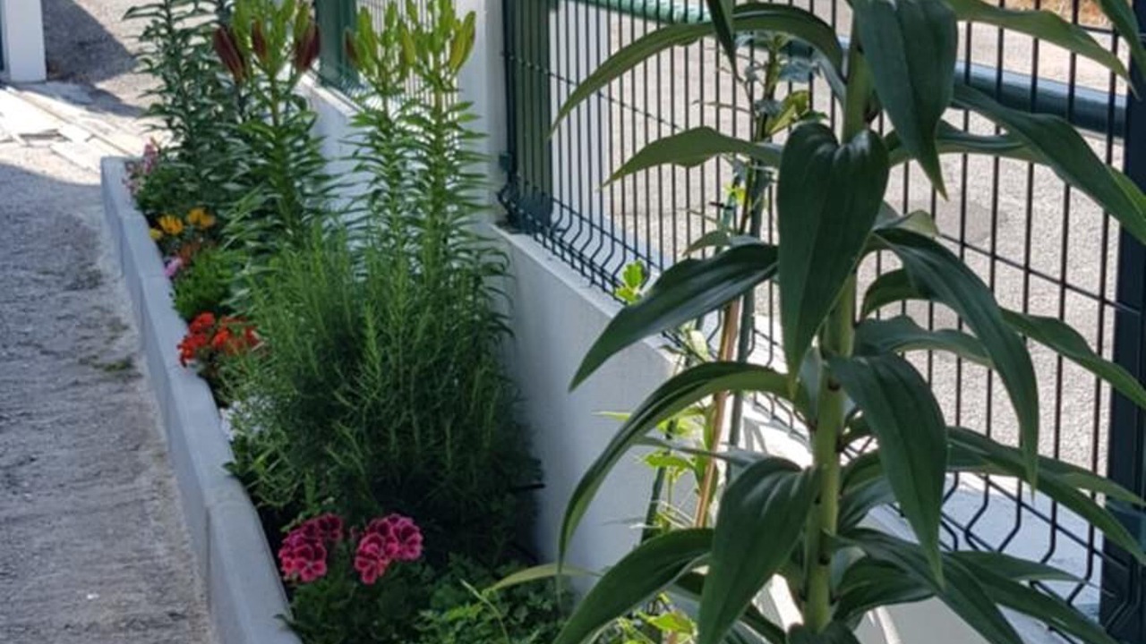 Photo of Outdoor in Guarda