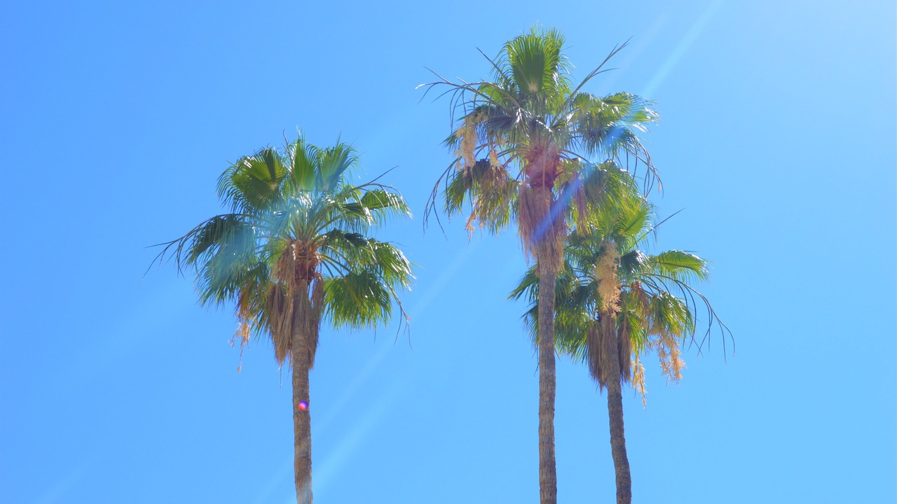 Photo of Others in Tahquitz River Estates