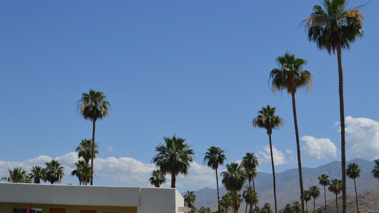 Photo of Others in Tahquitz River Estates
