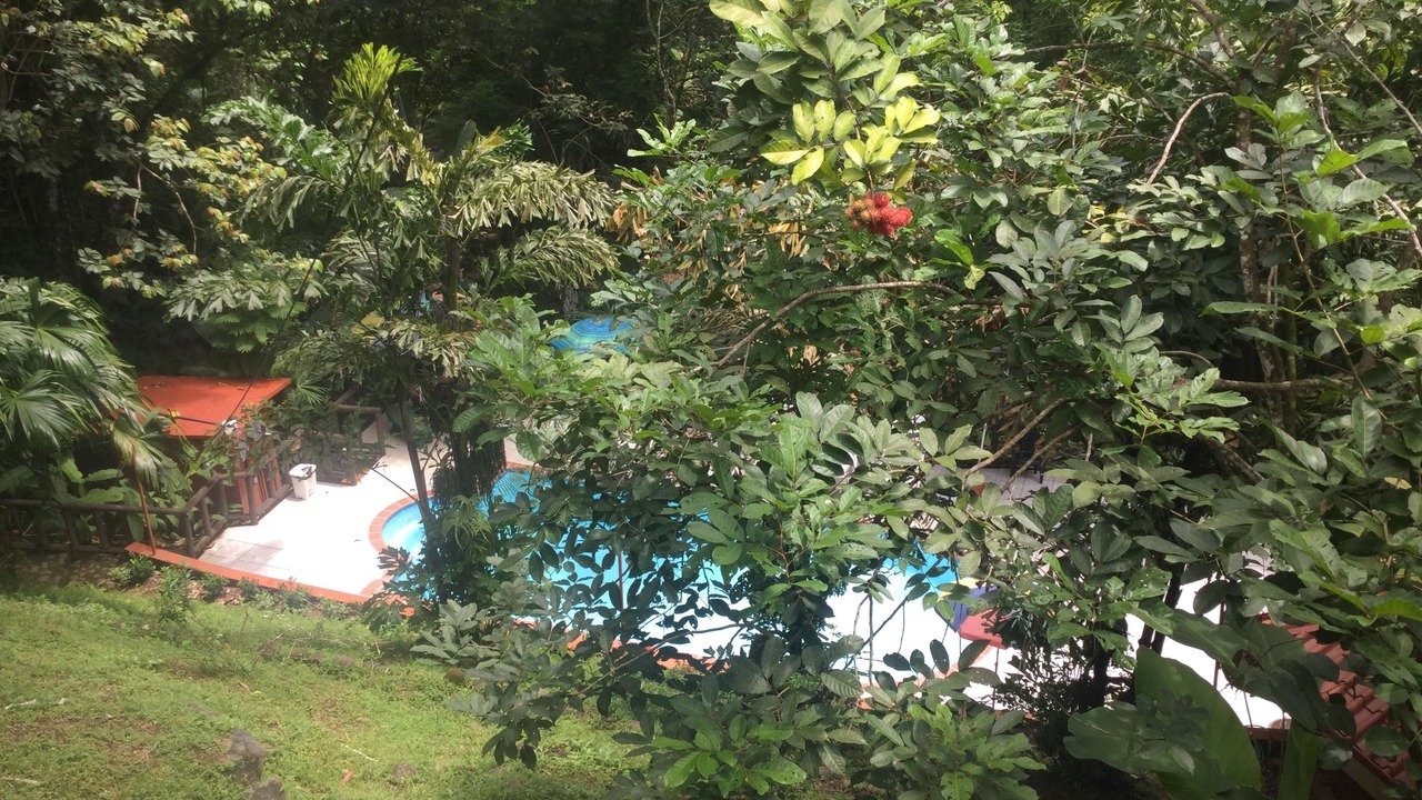 Photo of Outdoor in Ballena