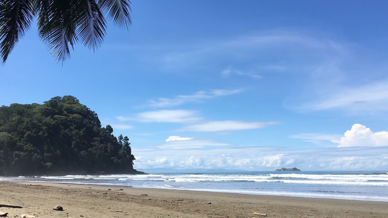 Photo of Others in Ballena