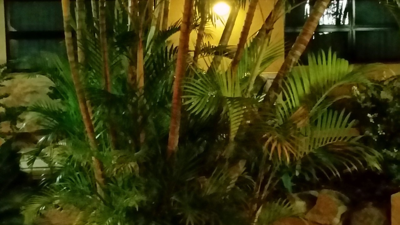 Photo of Outdoor in Hamilton