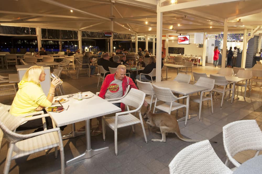 Photo of Others in Gold Coast