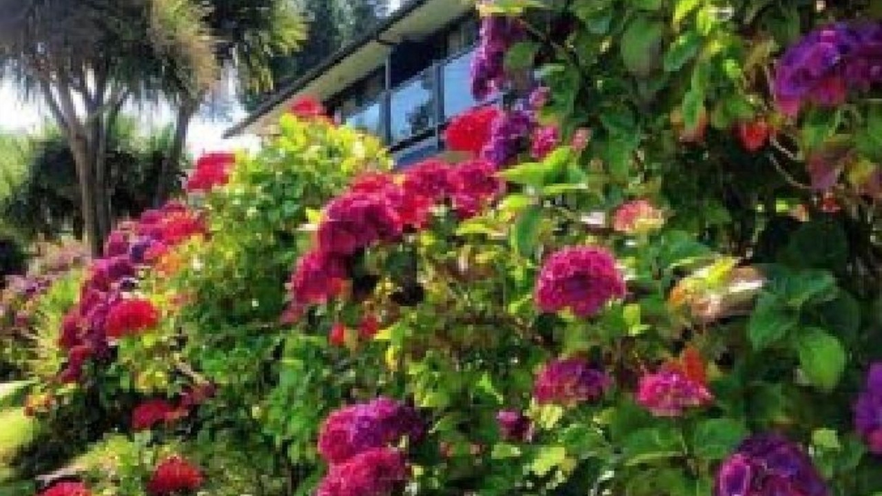 Photo of Outdoor in Tofino
