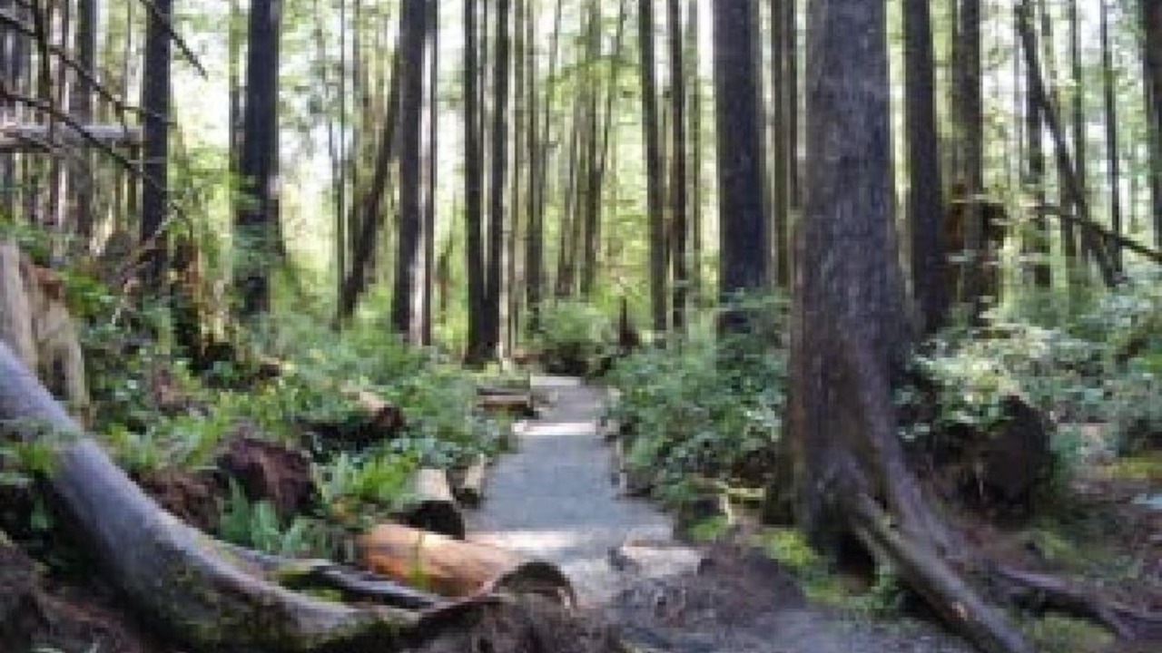 Photo of Outdoor in Tofino