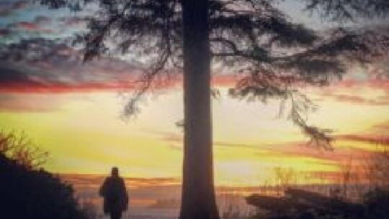 Photo of Others in Tofino
