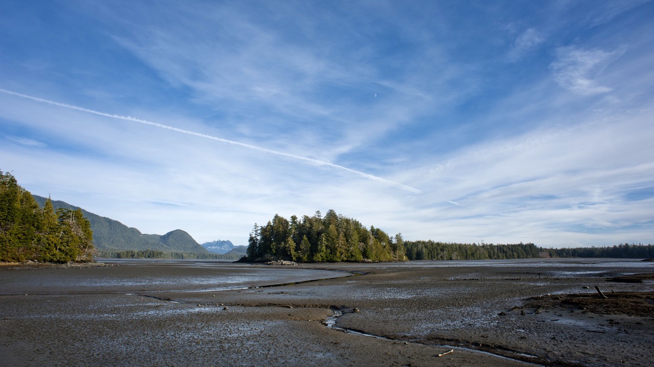 Photo of Outdoor in Tofino