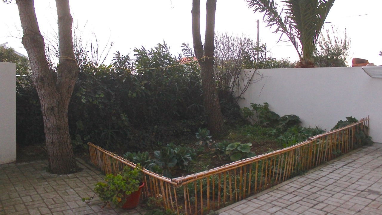 Photo of Outdoor in Serra da Pescaria