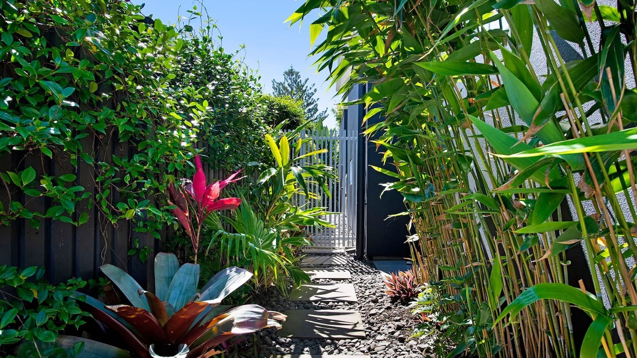 Photo of Outdoor in Mermaid Beach