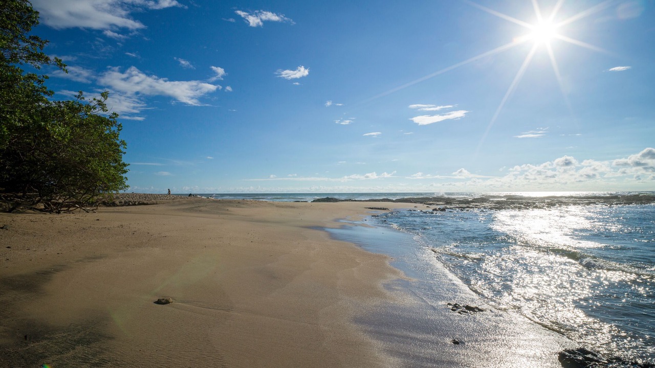Photo of Outdoor in Playa Langosta