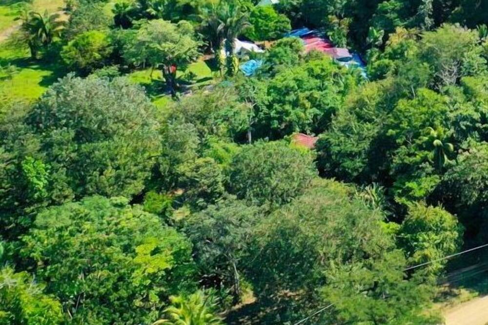 Photo of Outdoor in Uvita