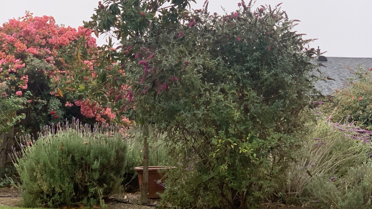 Photo of Outdoor in Mira Monte