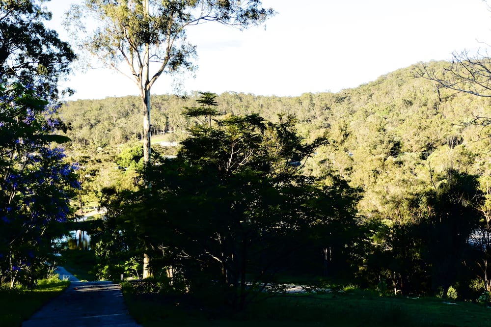 Photo of Outdoor in Maudsland