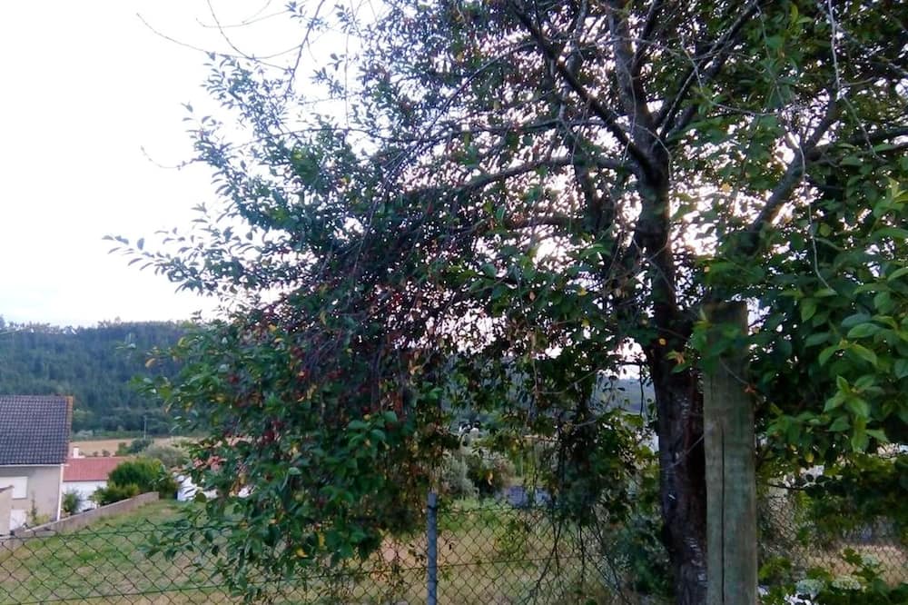 Photo of Outdoor in Ourem