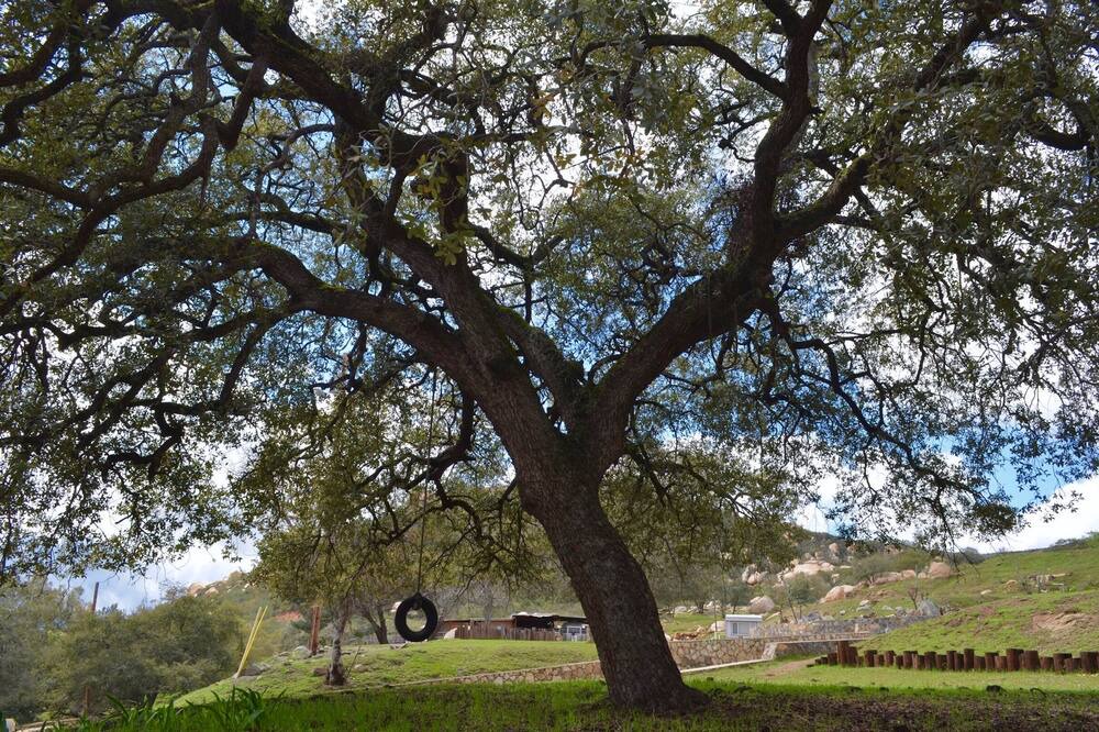 Photo of Others in Jamul