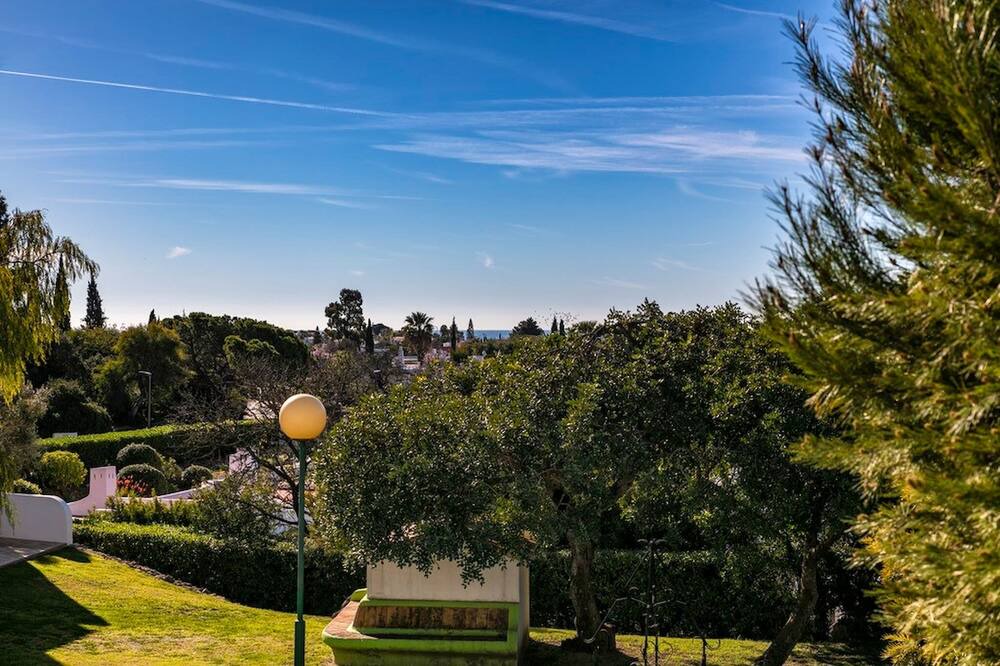 Photo of Outdoor in Mato Serrao