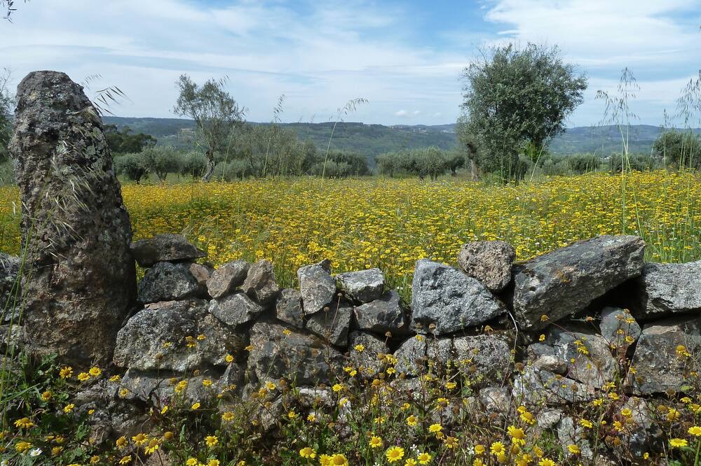 Photo of Outdoor in Gouveia