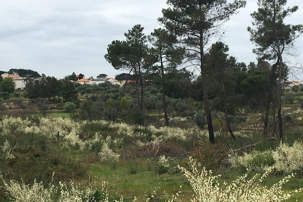 Photo of Outdoor in Gouveia