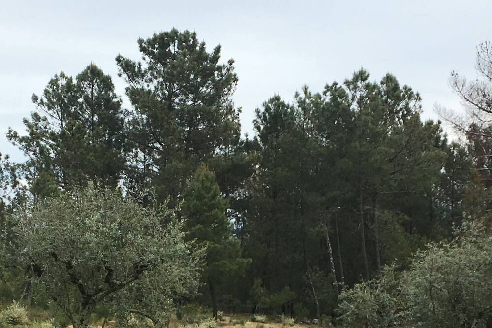 Photo of Outdoor in Gouveia