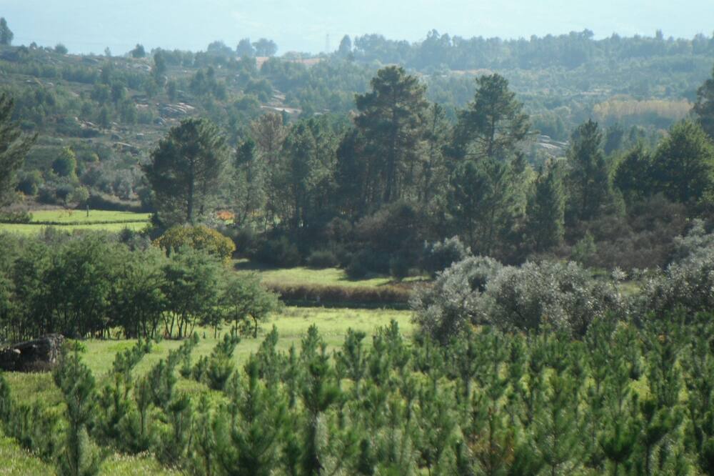 Photo of Outdoor in Gouveia