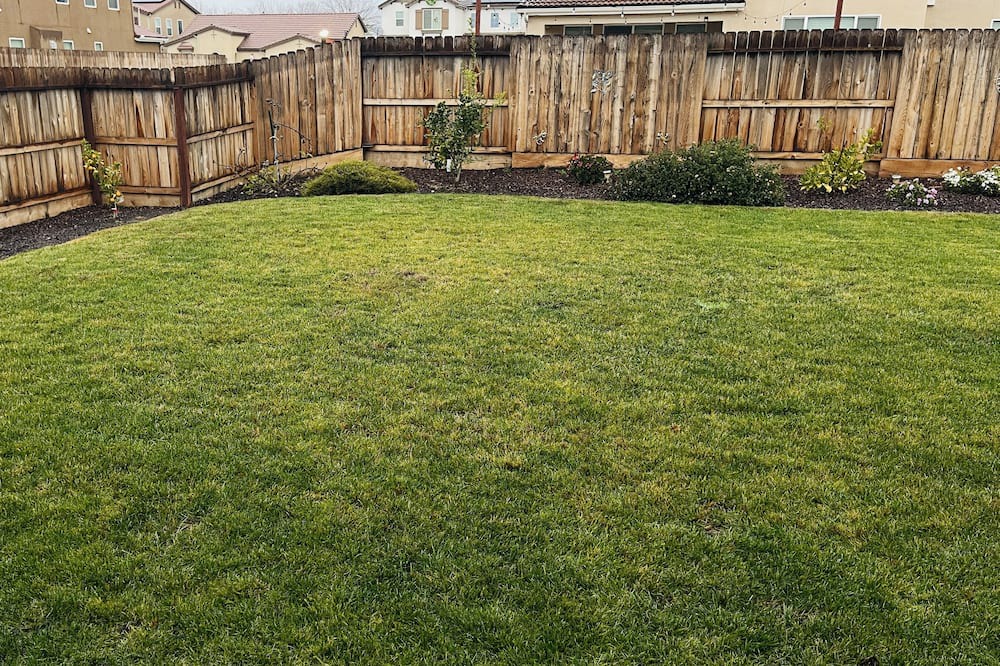 Photo of Outdoor in Clovis