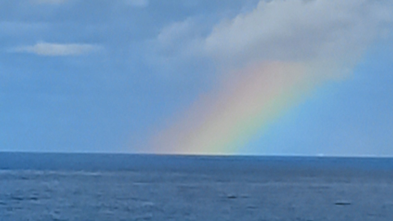 Photo of Others in Ocean Shores