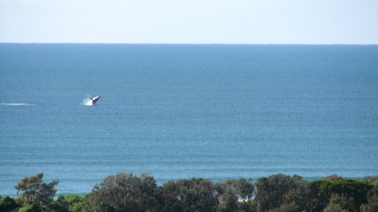 Photo of Others in Ocean Shores
