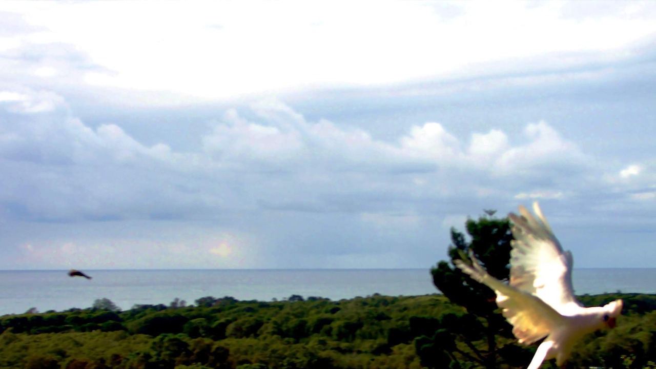Photo of Others in Ocean Shores