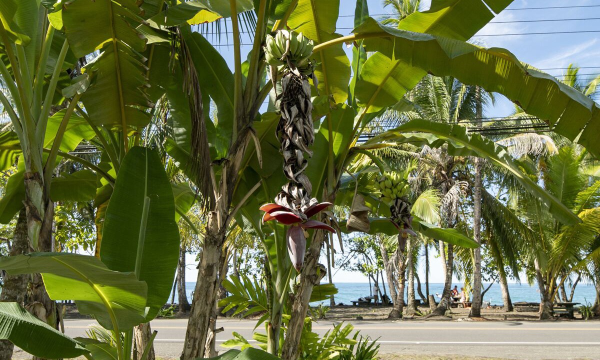 Photo of Outdoor in Manzanillo