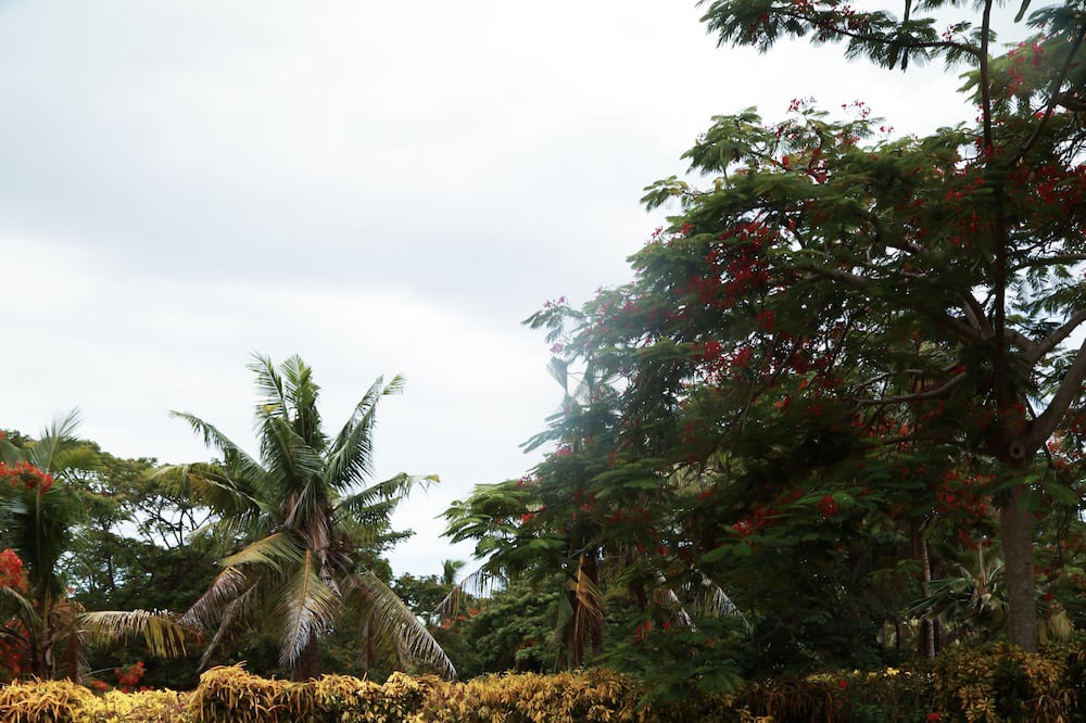 Photo of Outdoor in Malolo Lailai Island
