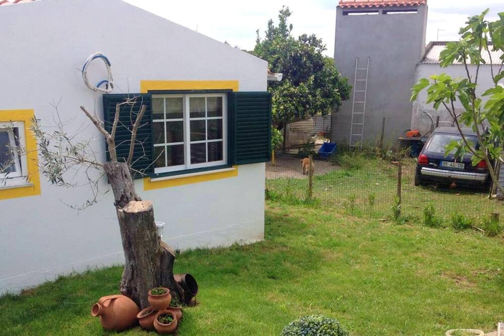 Photo of Outdoor in Montemor-o-Novo
