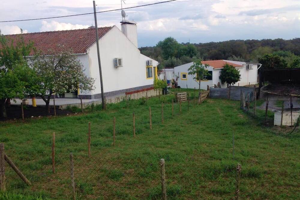Photo of Others in Montemor-o-Novo
